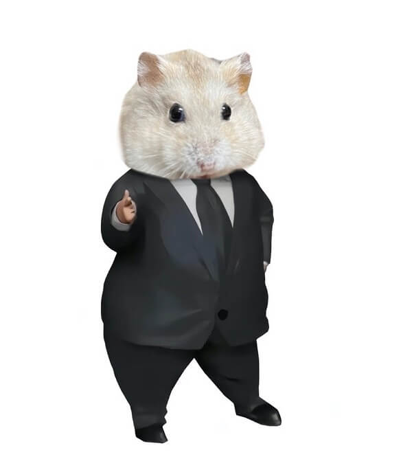 meme chuột hamster mặc vest