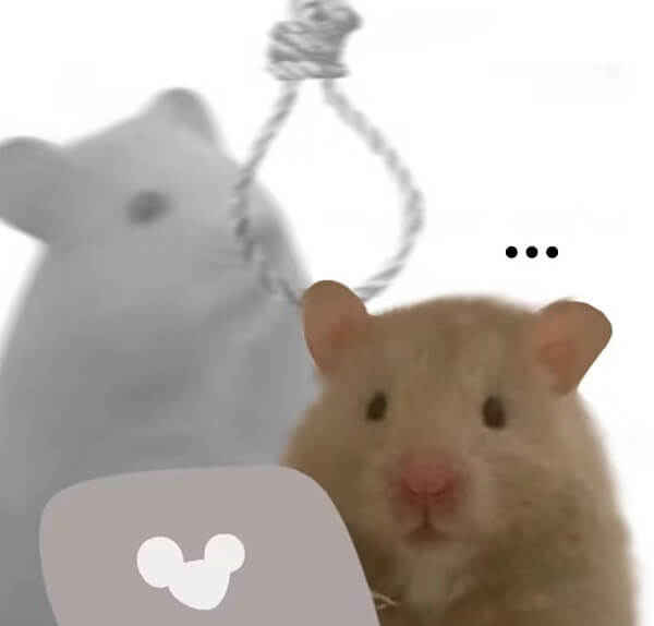 meme hamster tự tử