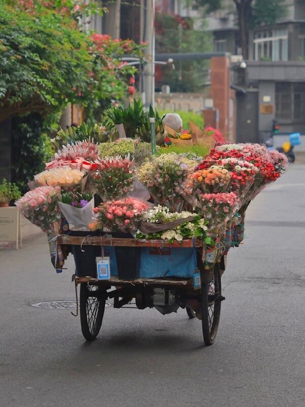 hình ảnh đại diện zalo 7