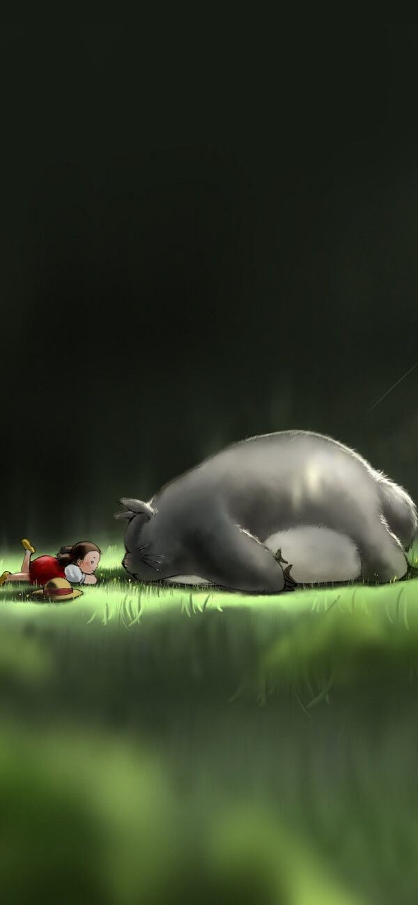 hình nền totoro 1