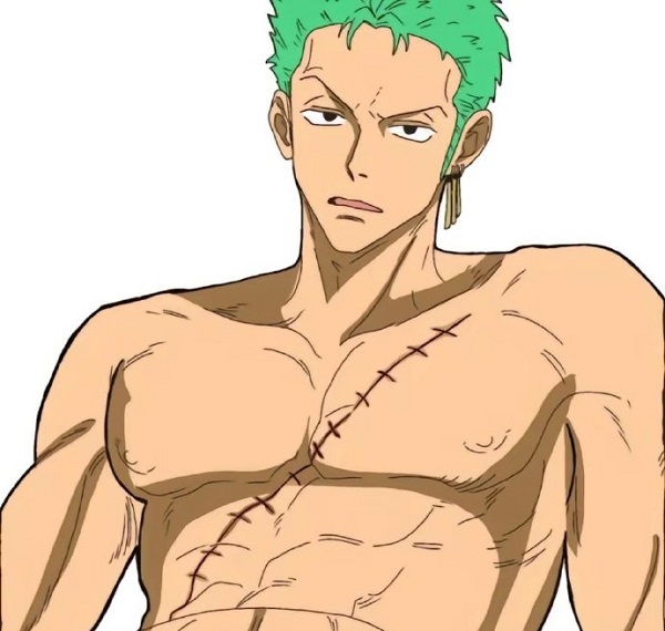 chibi roronoa zoro  1