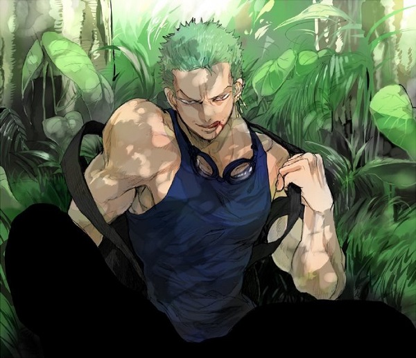 Roronoa Zoro ngầu 1