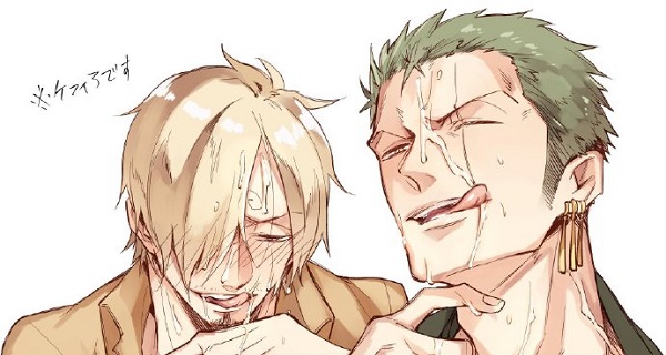 Ảnh Zoro x Sanji 2