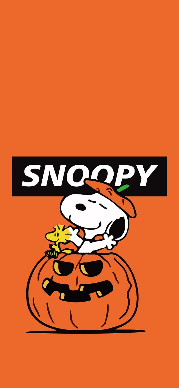 Hình nền Snoopy đẹp nhất 4