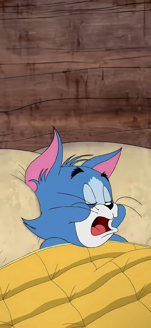 Hình nền Tom and Jerry 2