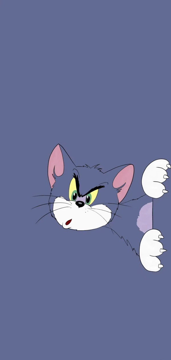 hình nền tom and jerry iphone 25