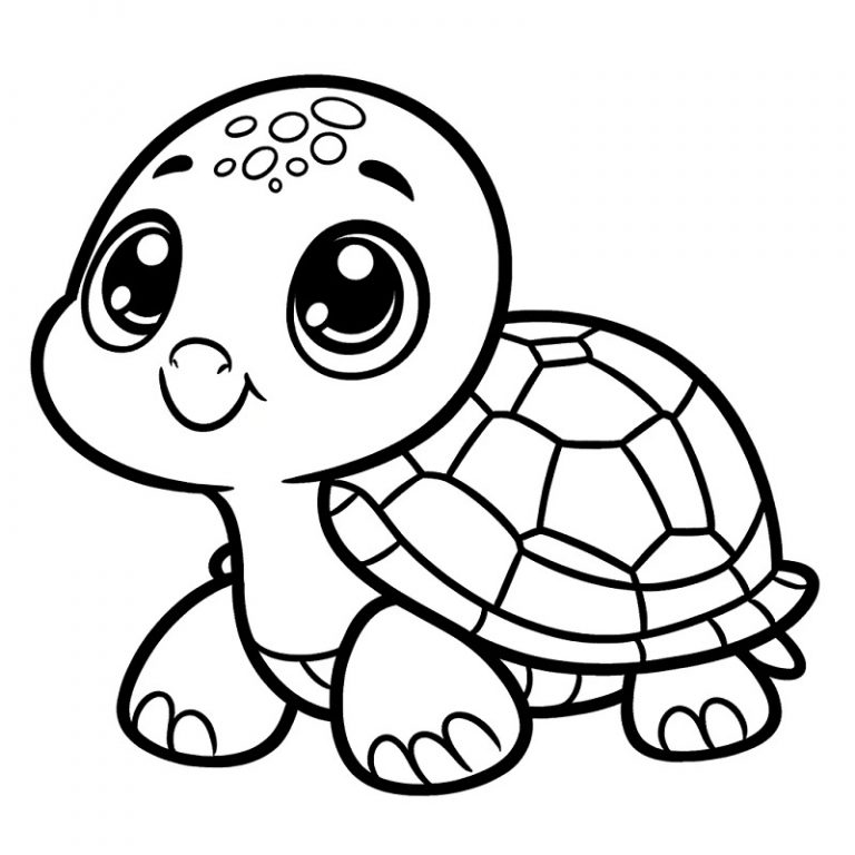 Tổng hợp 89+ Tranh tô màu con rùa giúp bé vừa học vừa chơi
