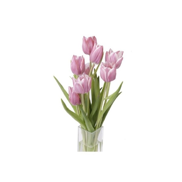 Avatar hoa tulip 6