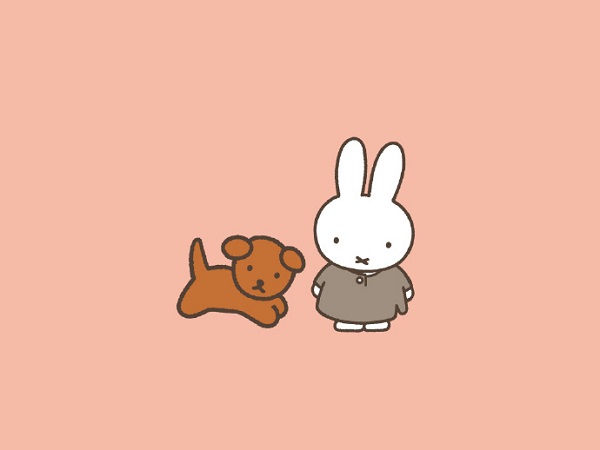 Avatar thỏ Miffy cute 13