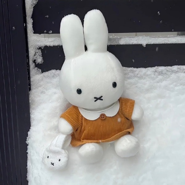 Avatar thỏ Miffy cute 1