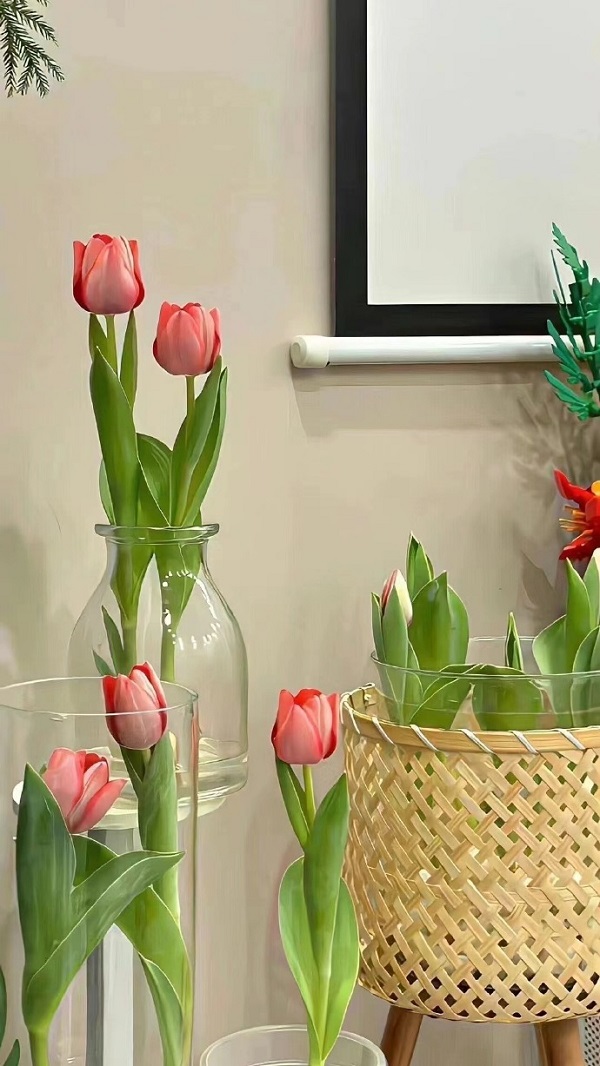 Hình nền hoa tulip đẹp 10