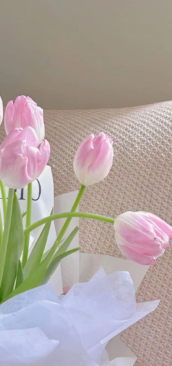 Hình nền hoa tulip đẹp 6