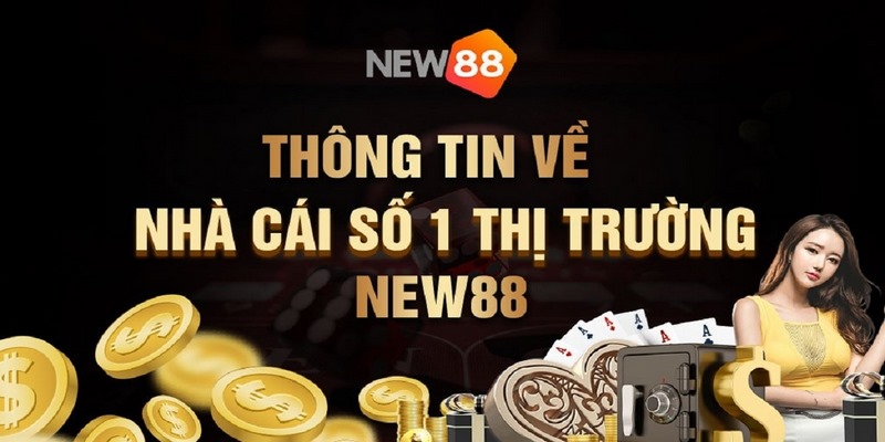 Giới thiệu đôi nét thông tin về New88