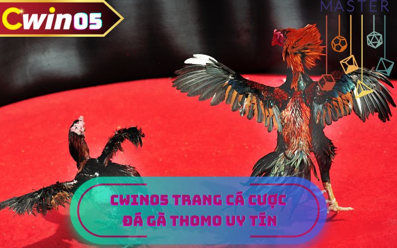 Cwin05 trang cá cược đá gà Thomo uy tín