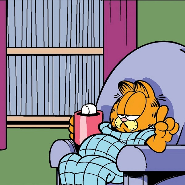 Avatar mèo Garfield cute 28