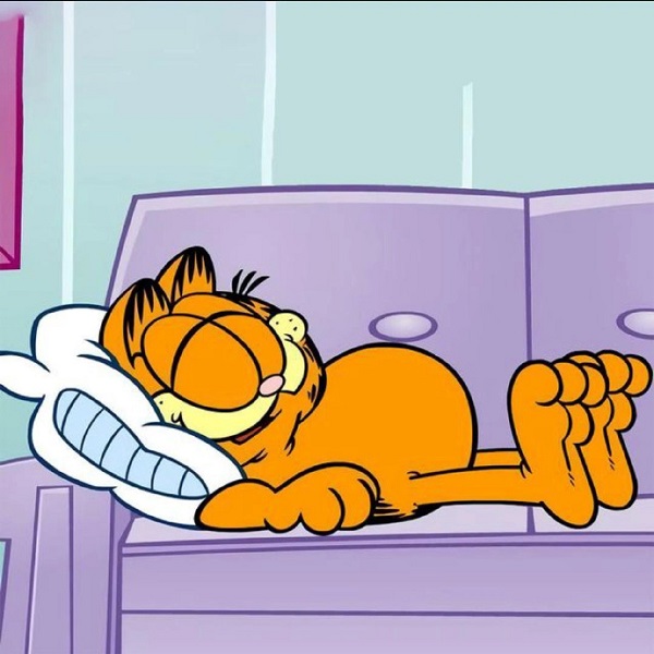 Avatar mèo Garfield cute 30