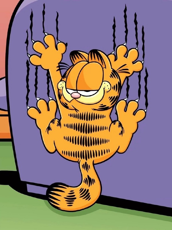 Avatar mèo Garfield cute 9