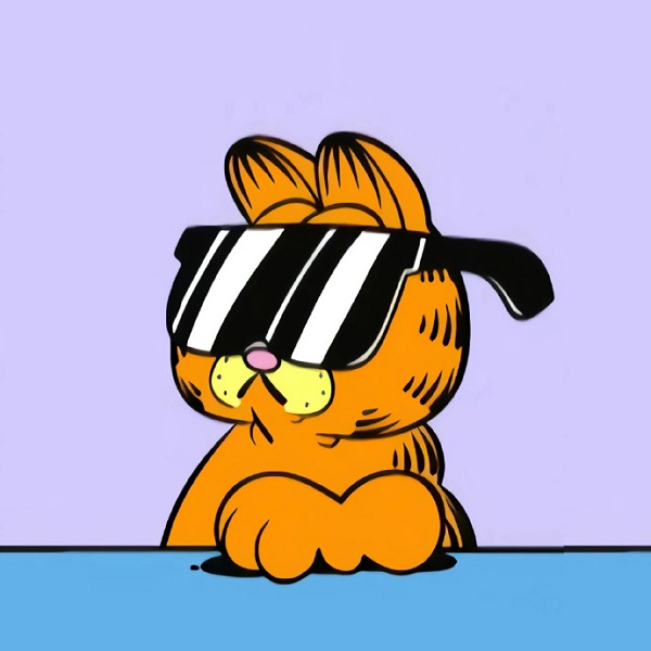 Avatar mèo Garfield cute 32