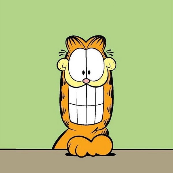 Avatar mèo Garfield cute 34