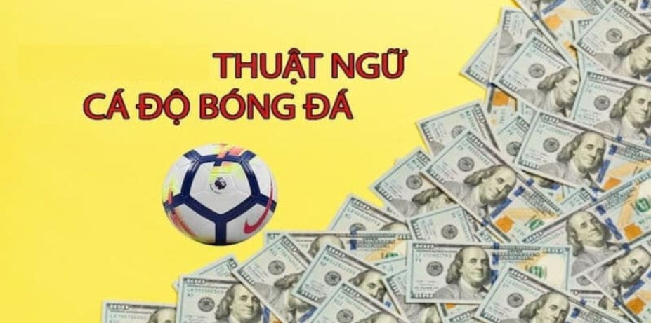 Mọi người muốn chốt kèo hiệu quả cần nắm rõ thuật ngữ cá độ bóng đá 