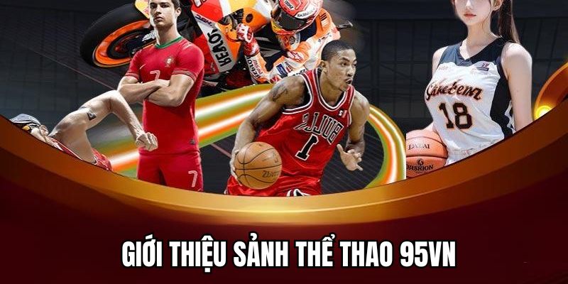 Đôi điều về sảnh thể thao 95VN