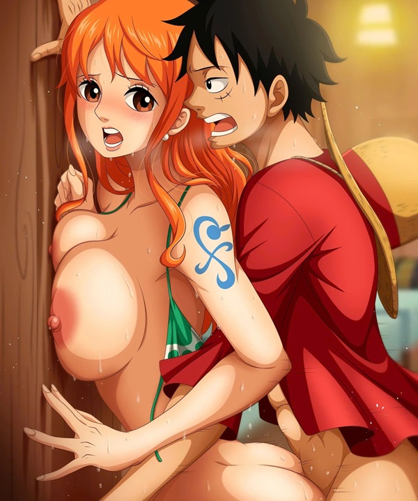 hentai one piece 3d​​ 22