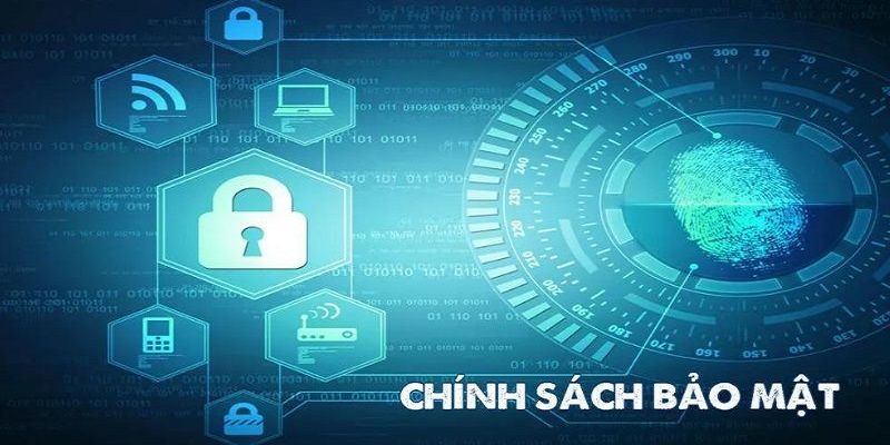 Chính Sách Cookie và Cách Sử Dụng Trình Duyệt