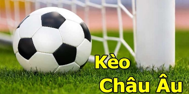 Những giải đấu nổi bật được cập nhật trên cá cược bóng đá