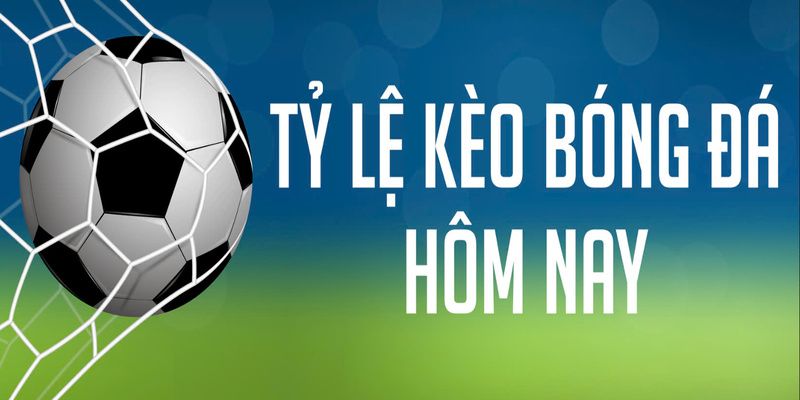 Trò chơi cá cược hấp dẫn