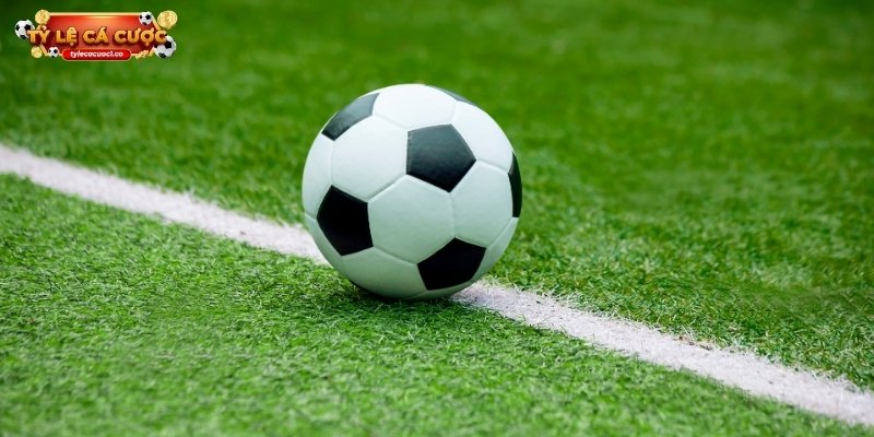 Kinh nghiệm đọc tỷ lệ cá cược giúp giảm thiểu rủi ro khi chơi