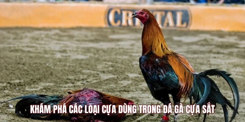 da-ga-cua-sat-cac-loai-cua