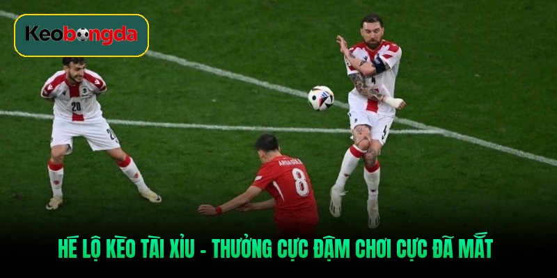 he-lo-keo-tai-xiu-thuong-cuc-dam-choi-cuc-da-mat