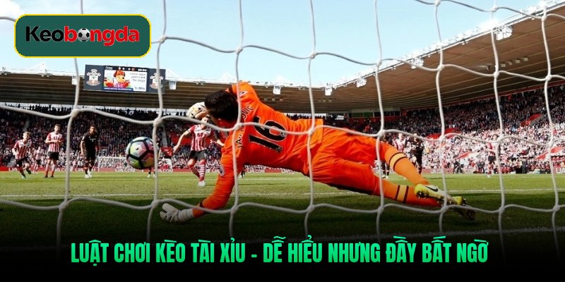 luat-choi-keo-tai-xiu-de-hieu-nhung-day-bat-ngo