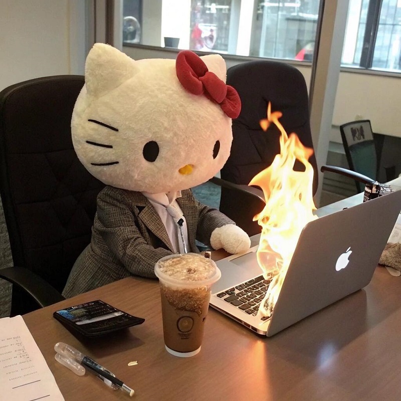 avatar hello kitty vô tri 20