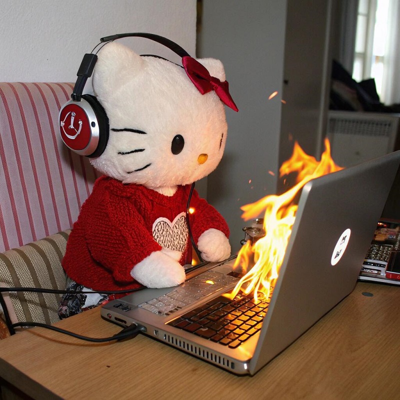 avatar hello kitty vô tri 30