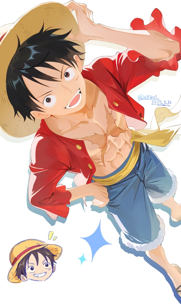 hentai Luffy 11