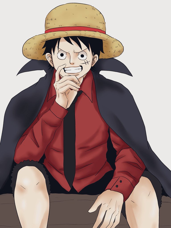 hentai Luffy 12