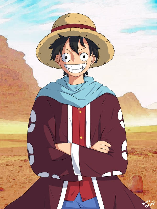 hentai Luffy 17