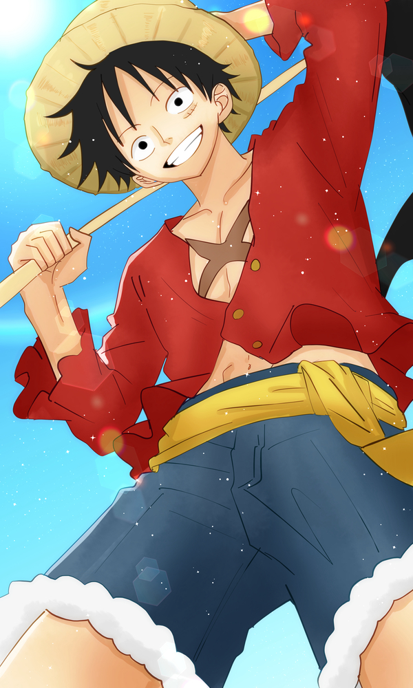 hentai Luffy 27