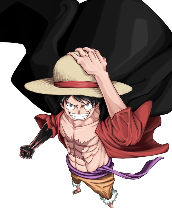 hentai Luffy 28