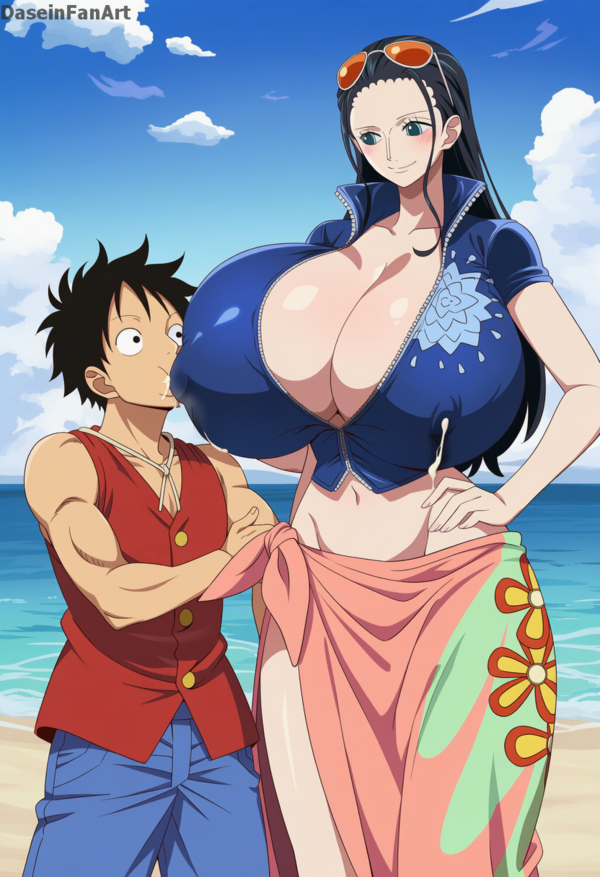 hentai Luffy 29