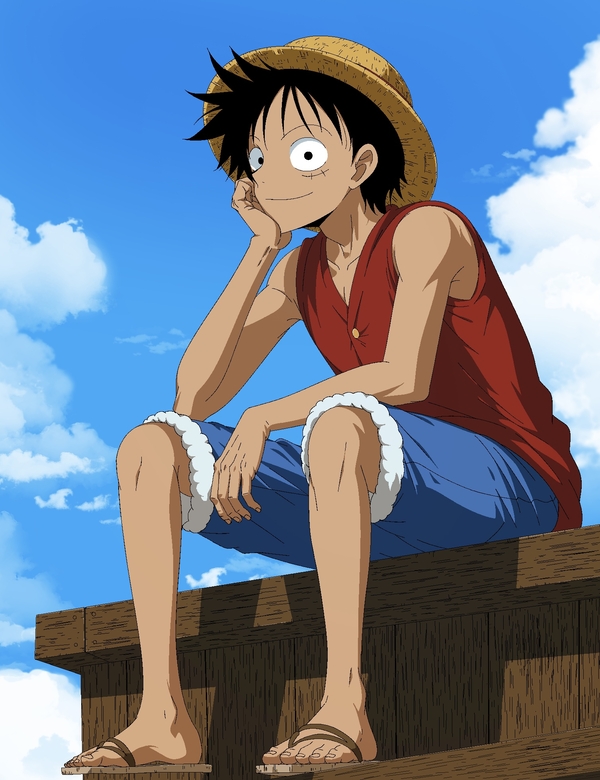 hentai Luffy 29