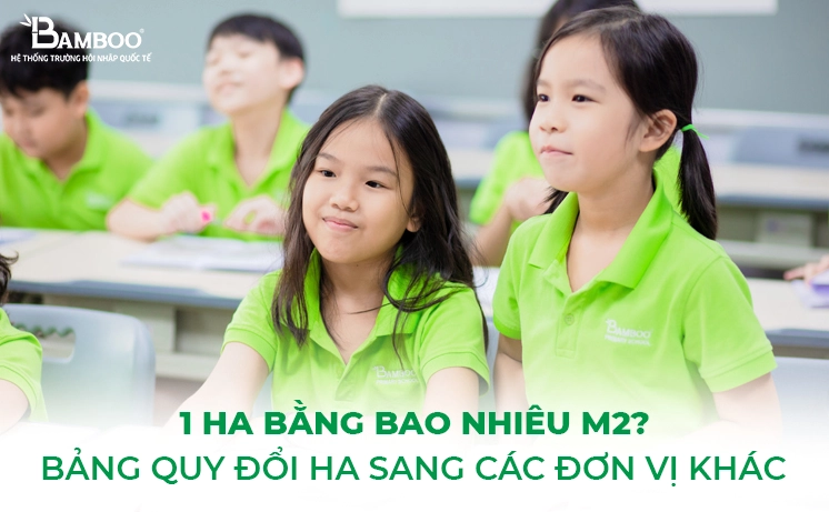 1 ha bằng bao nhiêu m2