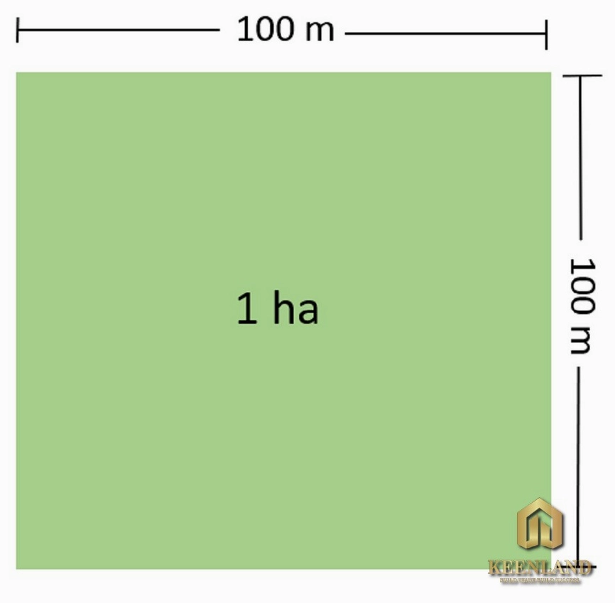 1 ha bằng bao nhiêu m2