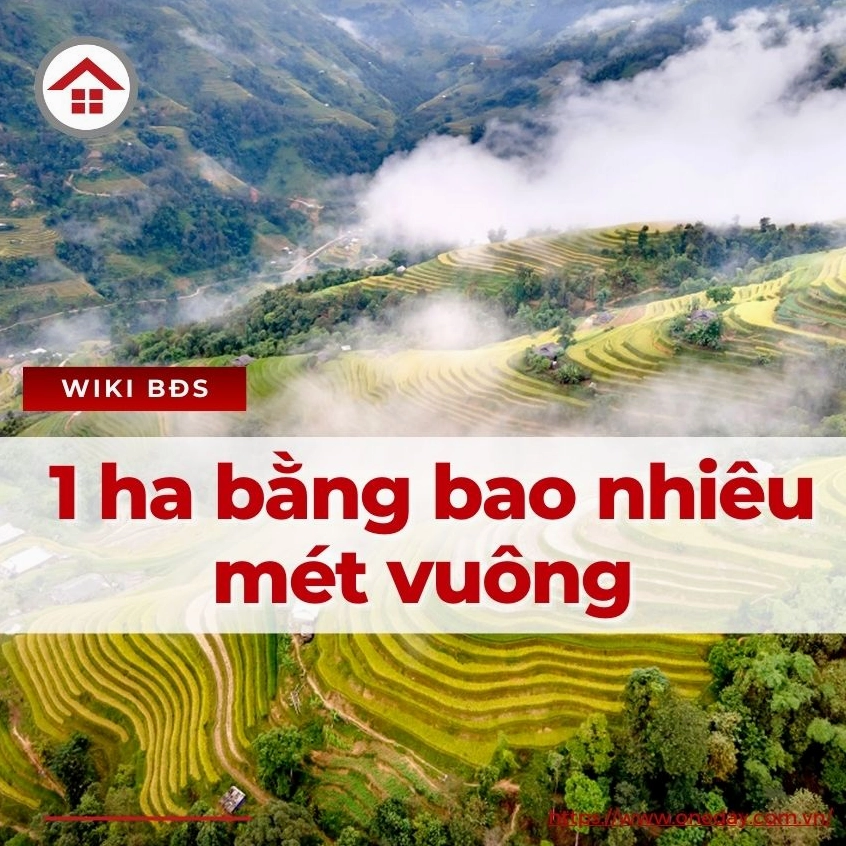 1-ha-bang-bao-nhieu-met-vuong (1)