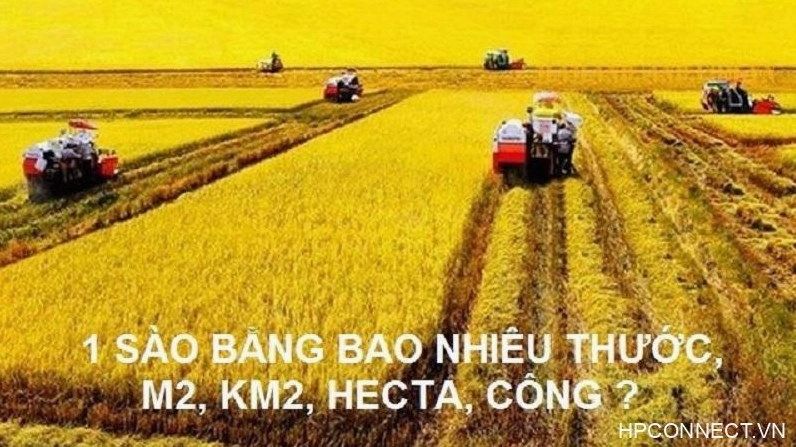 1-ha-bao-nhieu-m2