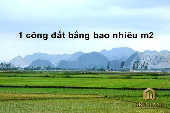 1ha-bang-bao-nhieu-m2-giai-dap-chi-tiet-chinh-xac-nhat_220