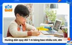 1m-bang-bao-nhieu-cm-giai-dap-chi-tiet-nhanh-chong-2026_802