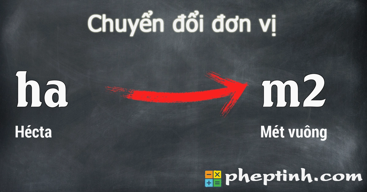 Đổi Hécta (ha) sang Mét vuông (m2)