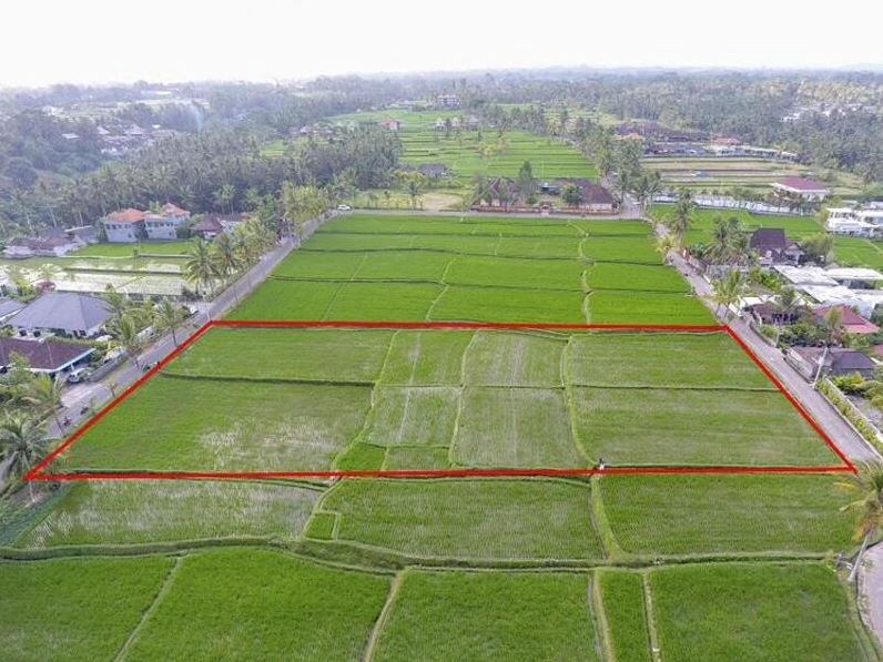 Ha Đơn Vị Gì? Dùng Để Làm Gì?